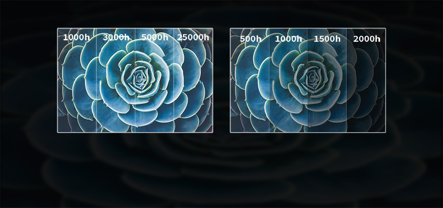 9001���Ž�ɳ